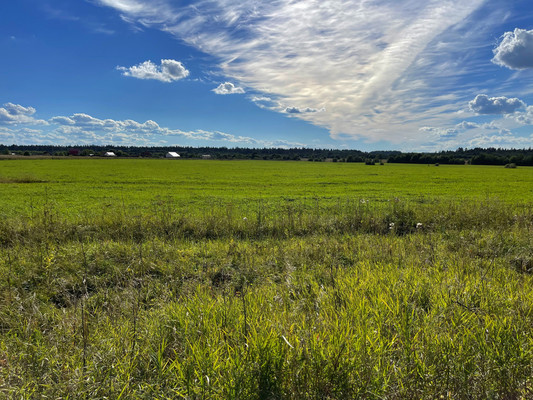 Продам землю для коммерческого использования 236 соток, Фермерское хоз., Орлино с