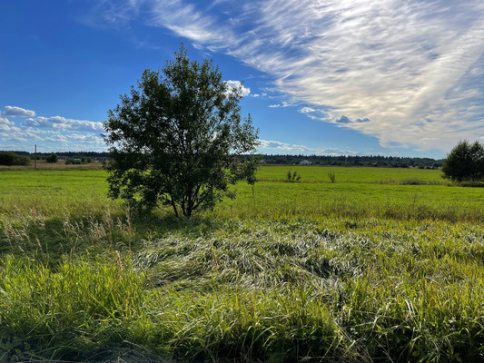 Продам землю для коммерческого использования 236 соток, Фермерское хоз., Орлино с