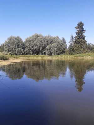 Продам дачу, СНТ Высота тер, , , Покровское с, 20 км от города