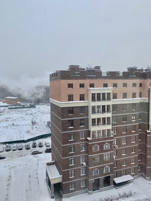 Продам трехкомнатную (3-комн.) квартиру, Парковая ул, 20, Сабурово д
