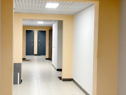 Продам однокомнатную (1-комн.) квартиру, Муринская дор, 8к2, Санкт-Петербург г