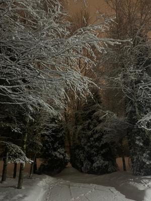 Сдам дом, Имени К. И. Вороницына ул, 11, Химки г, 10 км от города