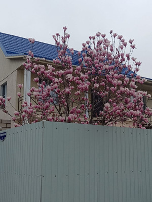 Продам дом, 1-й Черноморский пер, Витязево с, 0 км от города