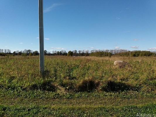 Продам участок 25 соток, ИЖС, Рабитицы п, 0 км от города