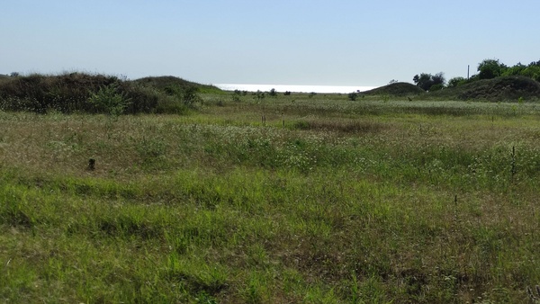 Продам землю для коммерческого использования 680 соток, ИЖС, Нахимова пр-кт, 4, Николаевка пгт