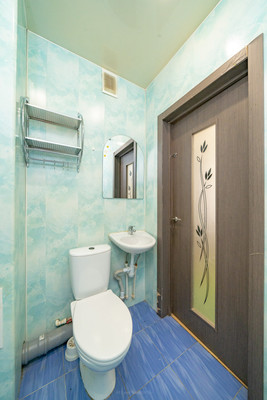 Продам однокомнатную (1-комн.) квартиру, Старорусский пр-кт, 6А, Шушары п