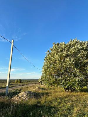 Продам участок 12 соток, ДНП, поселок Царский склон, Михайловская д, 10 км от города