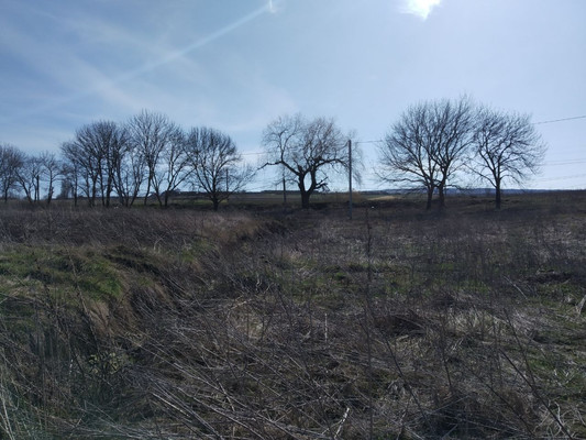 Продам участок 10 соток, ИЖС, Луговая ул, 1, Константиновка с, 0 км от города