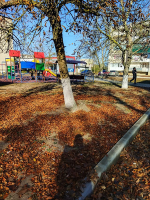 Продам многокомнатную квартиру, Шевченко ул, 40, Завет-Ленинский с