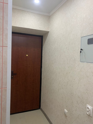 Продам однокомнатную (1-комн.) квартиру, Центральная ул, 1, Климово п