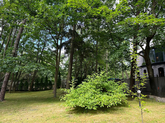 Продам дом, Ленина ул, 16А, Светлогорск г, 0 км от города