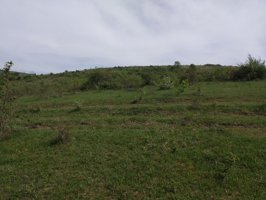 Продам участок 64 соток, ИЖС, Перово с, 0 км от города