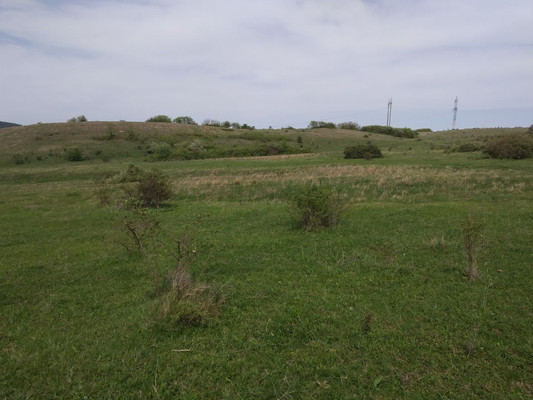 Продам участок 64 соток, ИЖС, Перово с, 0 км от города