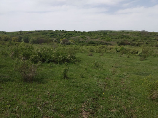 Продам участок 64 соток, ИЖС, Перово с, 0 км от города