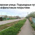 Продам участок 8 соток, Подлесная ул, 194, Апшеронск г, 0 км от города