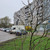 Продам коммерческое помещение 536 м2, Еловая аллея ул, 63Аа, Калининград г