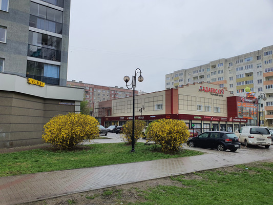 Сдам коммерческое помещение 225 м2, Еловая аллея ул, 63а, Калининград г