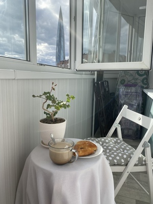 Продам однокомнатную (1-комн.) квартиру, Савушкина ул, 134к3, Санкт-Петербург г