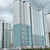 Продам однокомнатную (1-комн.) , Пахомовская ул, к343, Санкт-Петербург г
