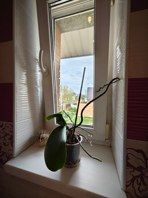 Продам дом, Дачная ул, 37, Коммунар г, 0 км от города