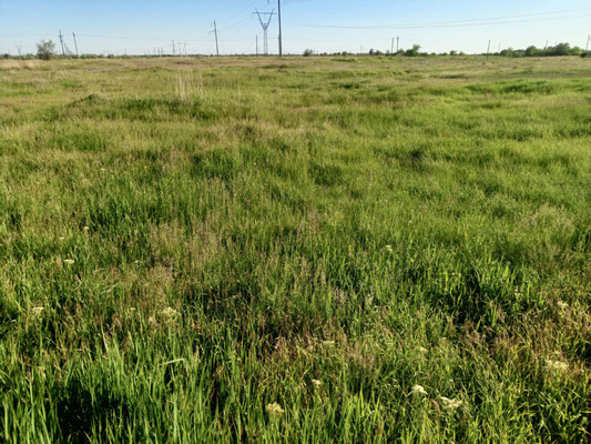 Продам участок 6 соток, ИЖС, Степная ул, 3, Парамонов х, 0 км от города