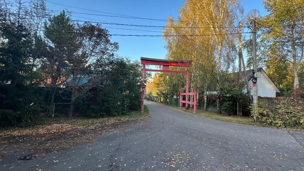 Продам дом, Борки д, 0 км от города