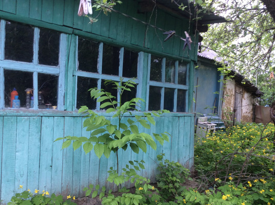 Продам дачу, Школьная ул, 1, Перлевка с, 0 км от города