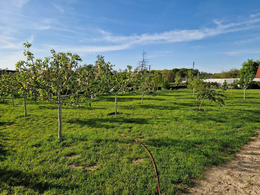 Продам коттедж, 1, Клинцовка п, 0 км от города