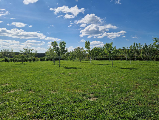 Продам коттедж, 1, Клинцовка п, 0 км от города