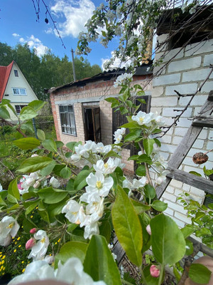 Продам дом, Дзержинец тер. СНТ, 748, Копейск г, 0 км от города