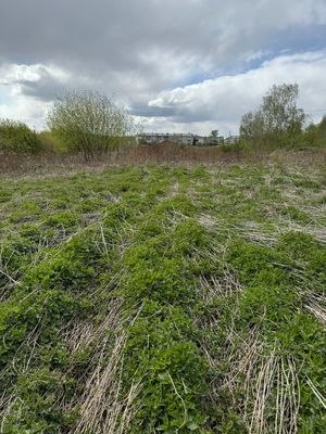 Продам участок 10 соток, ИЖС, Ленина ул, Большой Исток п, 5 км от города