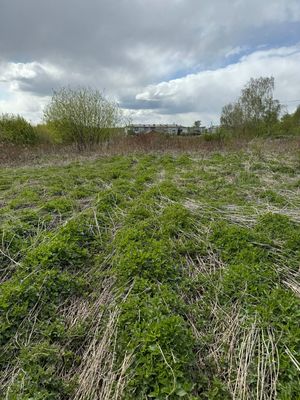 Продам участок 10 соток, ИЖС, Ленина ул, Большой Исток п, 5 км от города