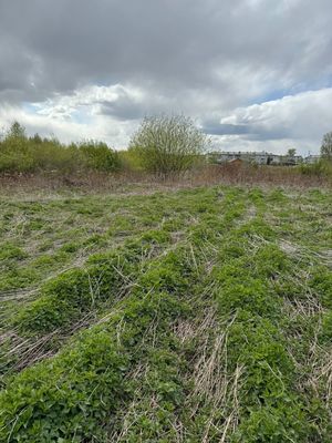 Продам участок 10 соток, ИЖС, Ленина ул, Большой Исток п, 5 км от города