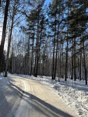 Продам участок 10,5 соток, ЛПХ, поселок Улесье, Улесье тер, Екатеринбург г, 0 км от города