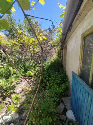 Продам дом, Чапаева ул, 31, Новогремяченское с, 0 км от города