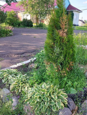 Продам трехкомнатную (3-комн.) квартиру, Дружбы ул, 15, Сторожевск с