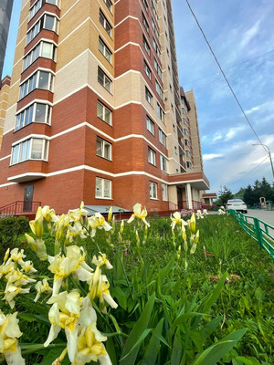 Продам однокомнатную (1-комн.) квартиру, Орджоникидзе (Львовский мкр.) ул, 2к2, Подольск г