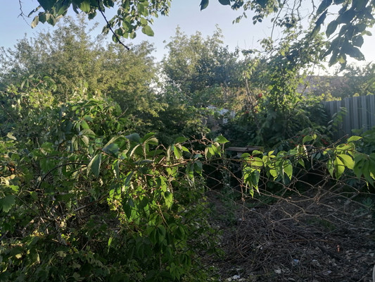 Продам дом, Мира ул, 43, Гайдук с, 0 км от города