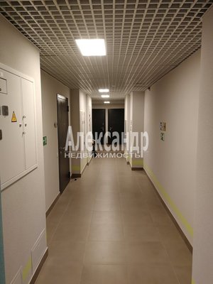 Сдам коммерческое помещение 21 м2, Муринская дор, 27к2, Санкт-Петербург г