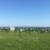 Продам участок 932,5 соток, Фермерское хоз., Нижний Услон с, 0 км от города