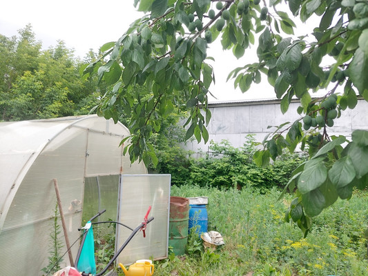 Продам дом, Беломорская ул, Казань г, 0 км от города