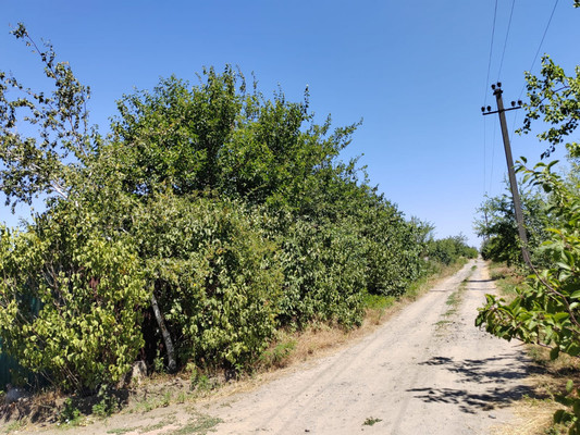 Продам дачу, Речник тер. СНТ, 673, Дорожный п, 0 км от города