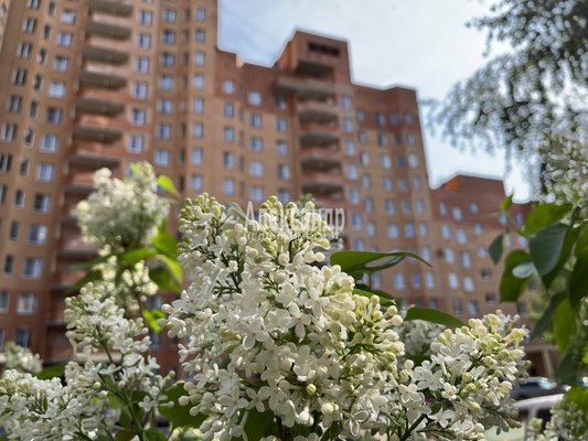 Продам трехкомнатную (3-комн.) квартиру, Александровская ул, д. 79 корп. 2, Всеволожск г