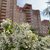 Продам трехкомнатную (3-комн.) квартиру, Александровская ул, д. 79 корп. 2, Всеволожск г