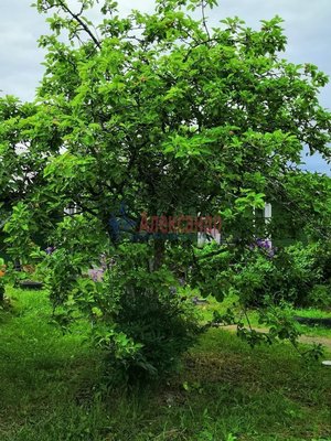 Продам двухкомнатную (2-комн.) квартиру, Вокзальная ул, д. 9, Элисенваара п