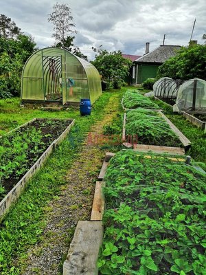 Продам двухкомнатную (2-комн.) квартиру, Вокзальная ул, д. 9, Элисенваара п