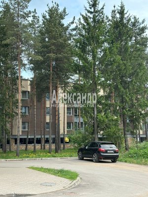 Продам двухкомнатную (2-комн.) квартиру, Большой пр-кт, д. 31, Всеволожск г