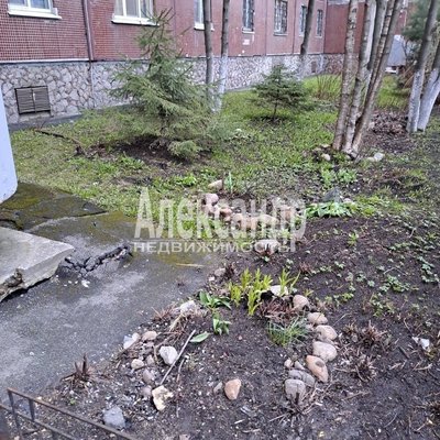 Продам однокомнатную (1-комн.) квартиру, Российский пр-кт, д. 3 корп. 1, Санкт-Петербург г