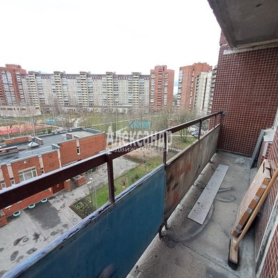 Продам однокомнатную (1-комн.) квартиру, Российский пр-кт, д. 3 корп. 1, Санкт-Петербург г