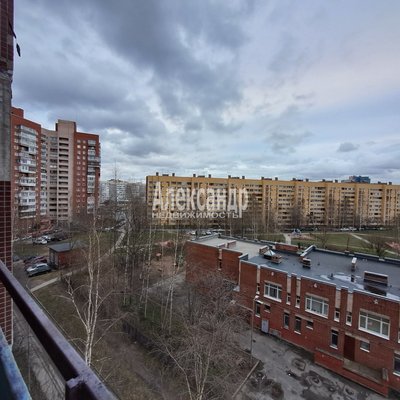 Продам однокомнатную (1-комн.) квартиру, Российский пр-кт, д. 3 корп. 1, Санкт-Петербург г